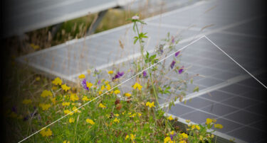 FM for a sustainable future