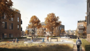 Gorse ride, Wokingham