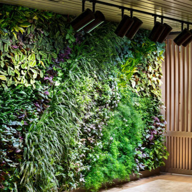 Project 2020 interior