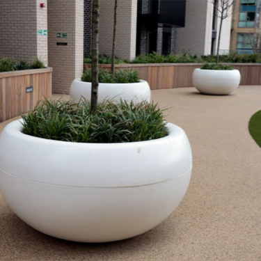 Wembley London Construction Residential exterior plants