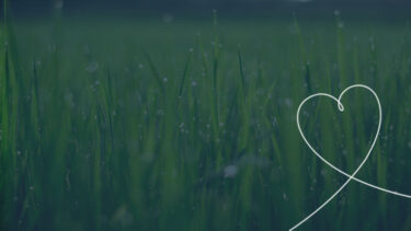 Prioritising Mental Health on World Mental Health Day