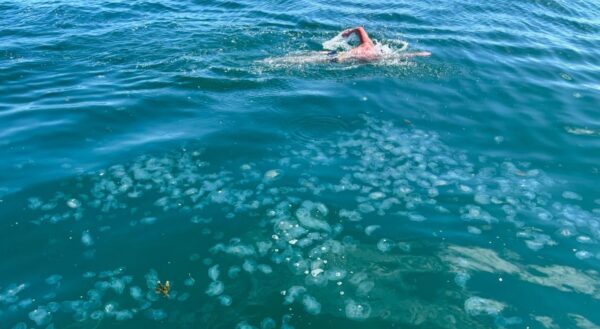 record-breaking Channel swim sea