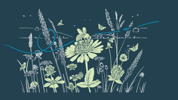 Wildscape illustration depicting a natural, wild landscape with flowers and wildlife.