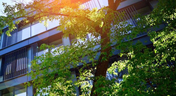 scaling sustainable innovation