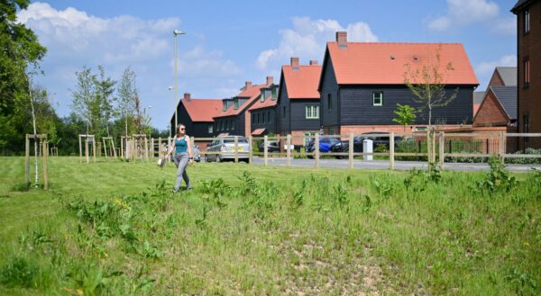 Image: green land, houses and a woman walking through the land