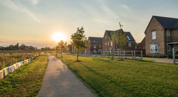 A patch of grass, houses and the sun shining in the background